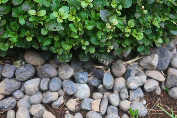 River Stone Installation in Jacksonville
