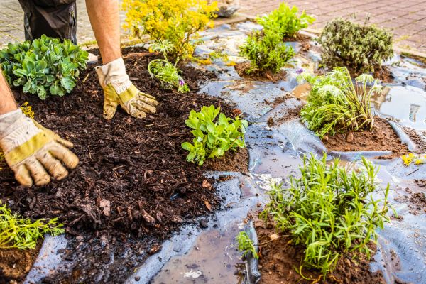 Mulch Fabric Installation in Jacksonville