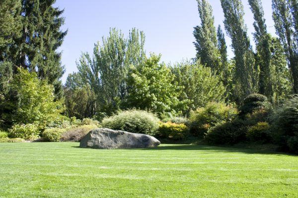 Yard Enlargement in Jacksonville