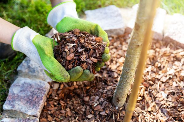 Tree Bark Delivery in Jacksonville