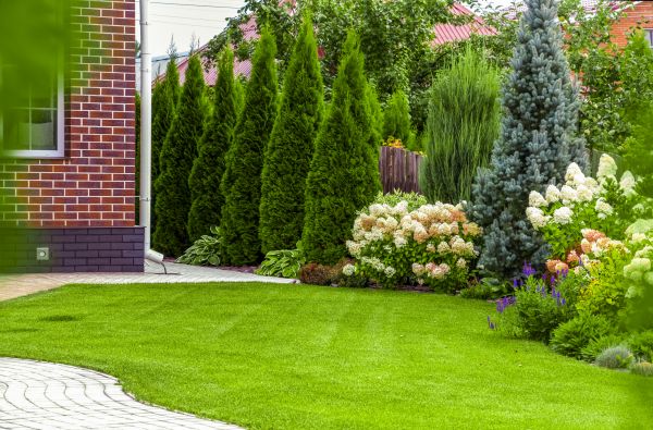 Spring Landscaping in Jacksonville