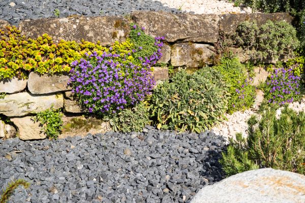 Landscaping Rocks Installation in Jacksonville