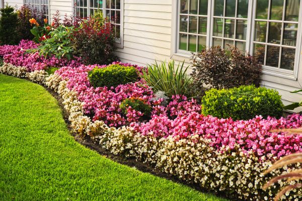 Garden Landscape Design in Jacksonville