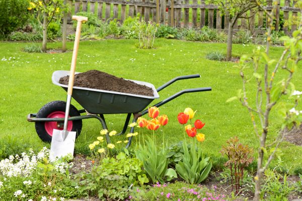 Spring Yard Renovation in Jacksonville