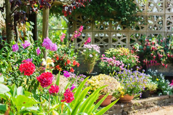 Spring Garden Maintenance in Jacksonville