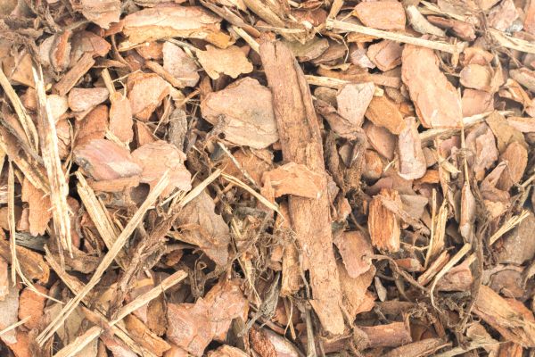 Bark Mulch Installation in Jacksonville