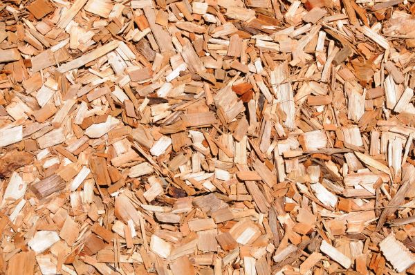 Cypress Mulch Spreading in Jacksonville