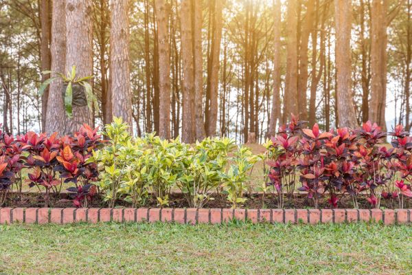 Small Garden Landscaping in Jacksonville