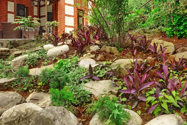 Rock Garden Landscaping in Jacksonville