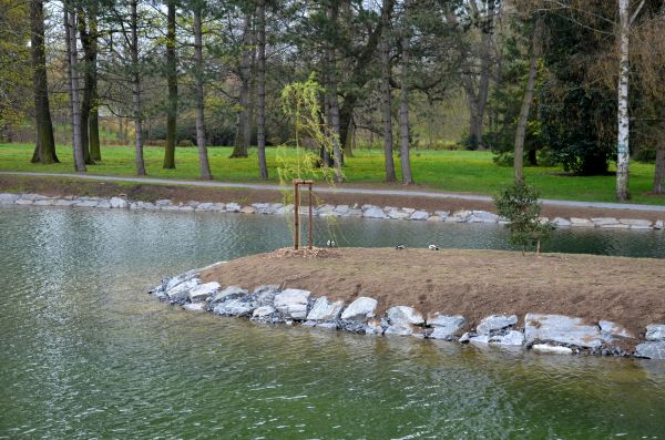 Pond Landscaping Service in Jacksonville