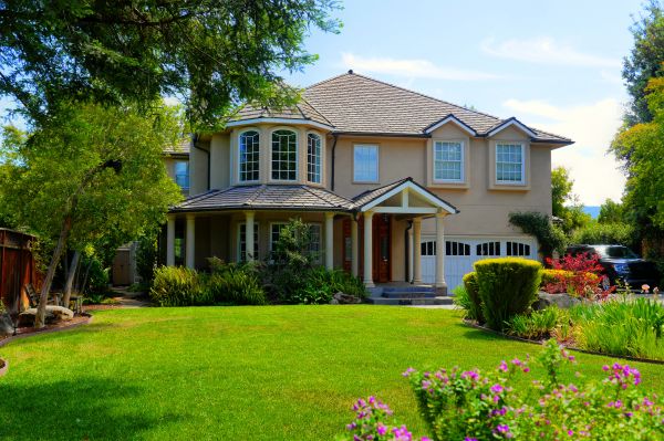 Large Yard Landscaping in Jacksonville