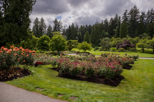 Flower Garden Landscaping in Jacksonville