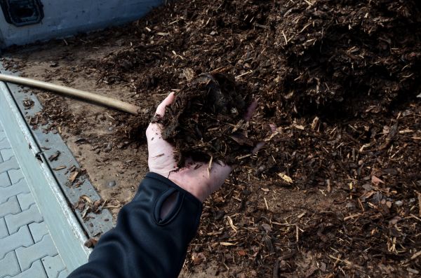 Condo Mulching in Jacksonville