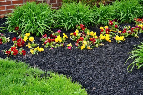 Apartment Mulching in Jacksonville